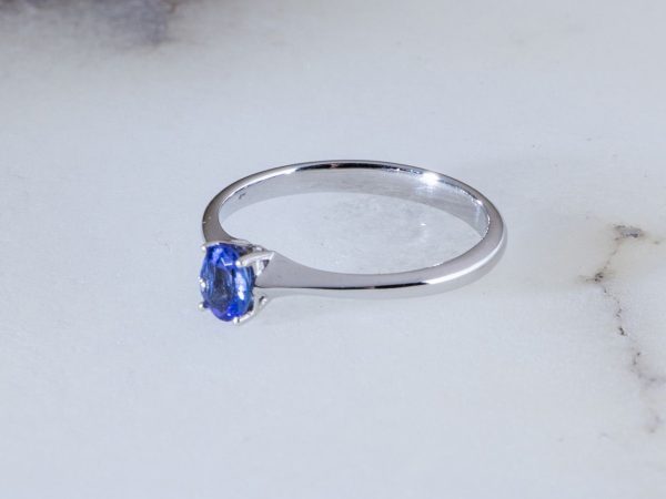 Anillo Índico