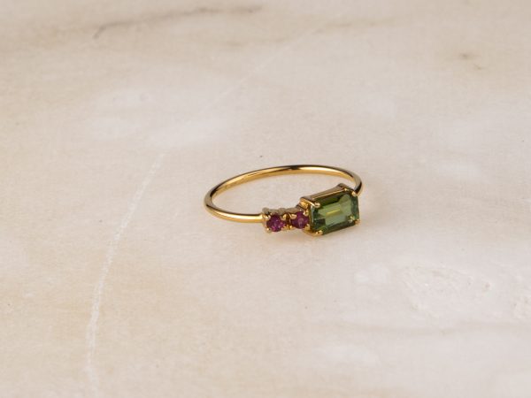 Anillo de Turmalinas Suculenta Borealys
